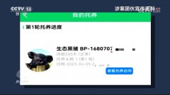 焦点访谈｜“云养殖”里藏骗局 多部门将联手严