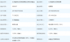 2025年06月05日汇添富移动互联股票000697基金净值查