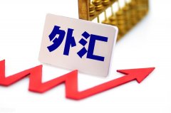 国家外汇管理局：5月银行结汇13861亿元人民币售