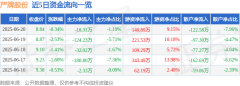 股票行情快报：严牌股份（301081）6月20日主力资