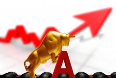 博菲电气：股票交易异常波动